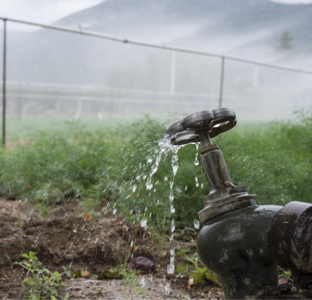 Solar panels lined up