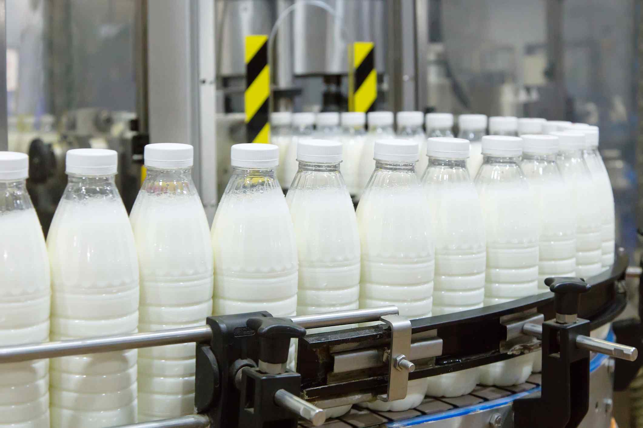 dairy bottles on conveyor line