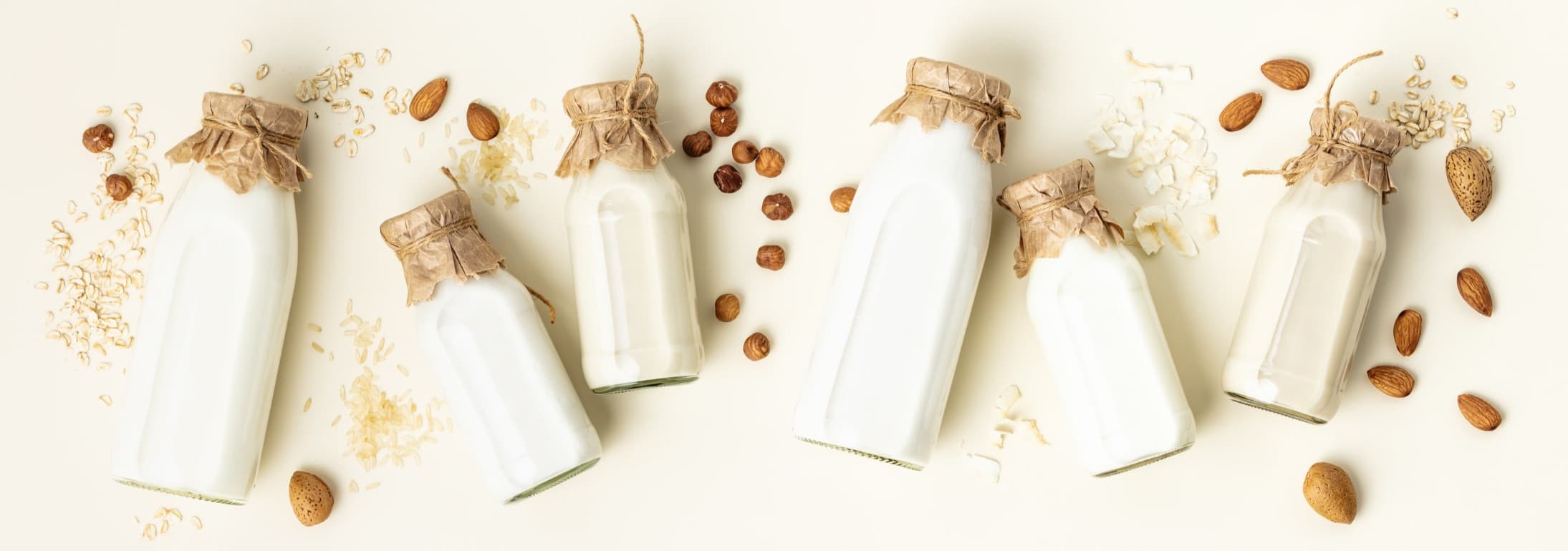 Plant-Based Milks